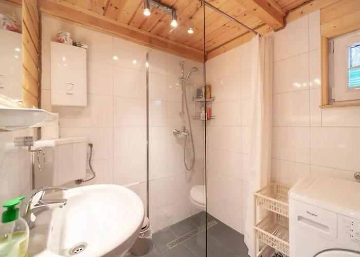 Sosnowa Jelení Hora